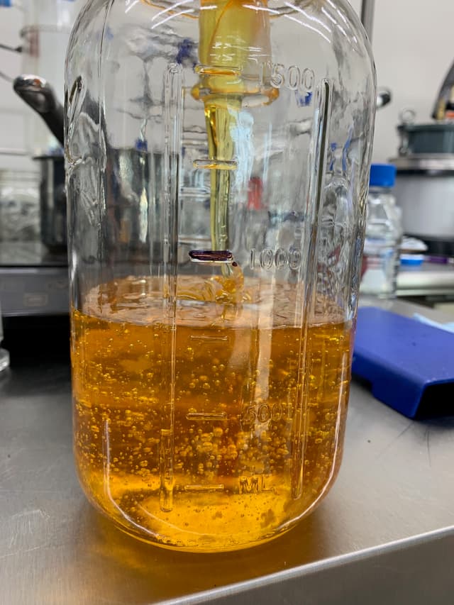 Waseca MN cannabis extraction facility — Cannabis distillate oil sample