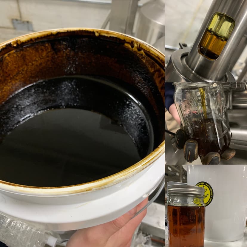 Waseca MN cannabis extraction facility — BSD Labs Crude Oil to Distillation Process
